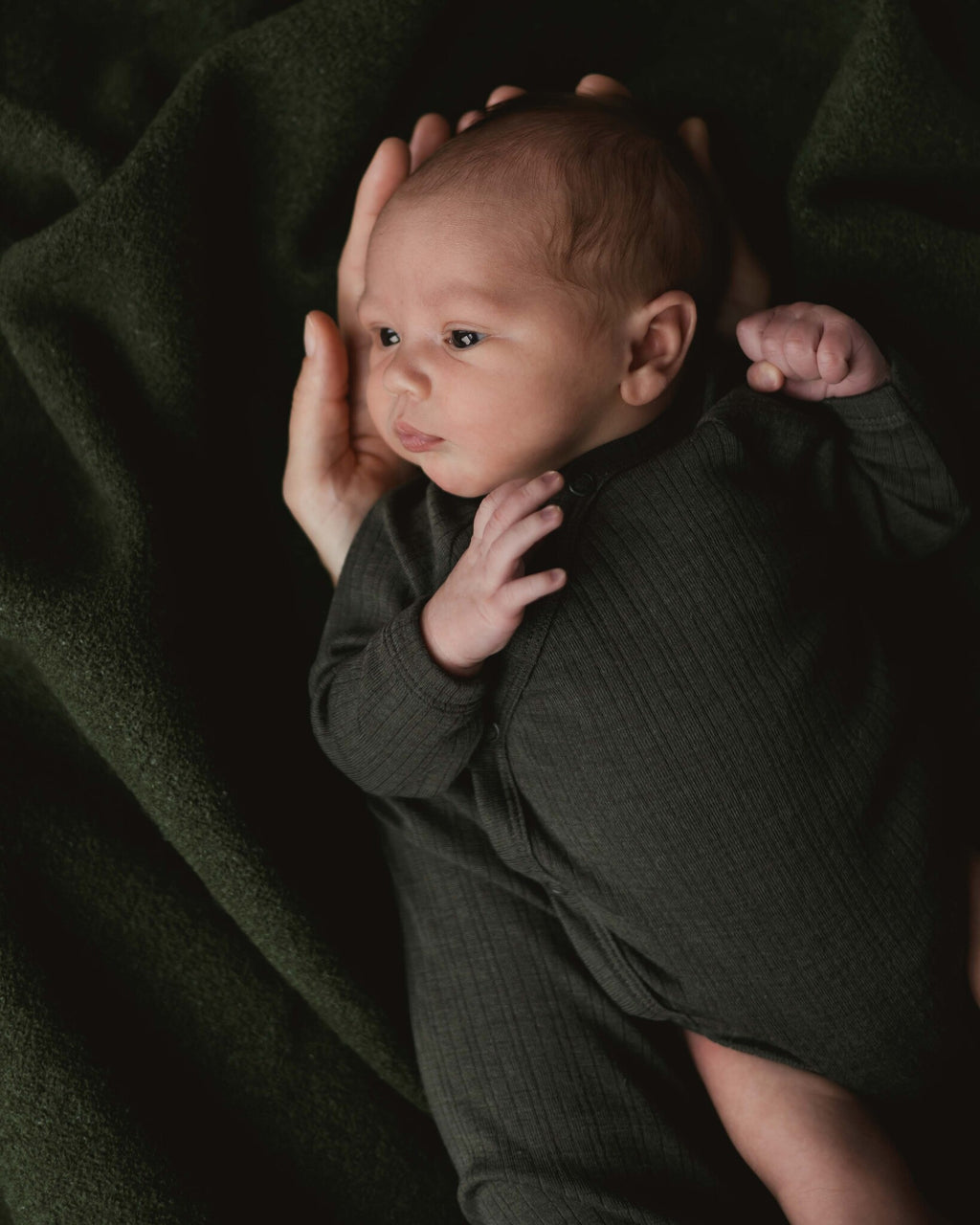 Alfie for Ziloen web-19