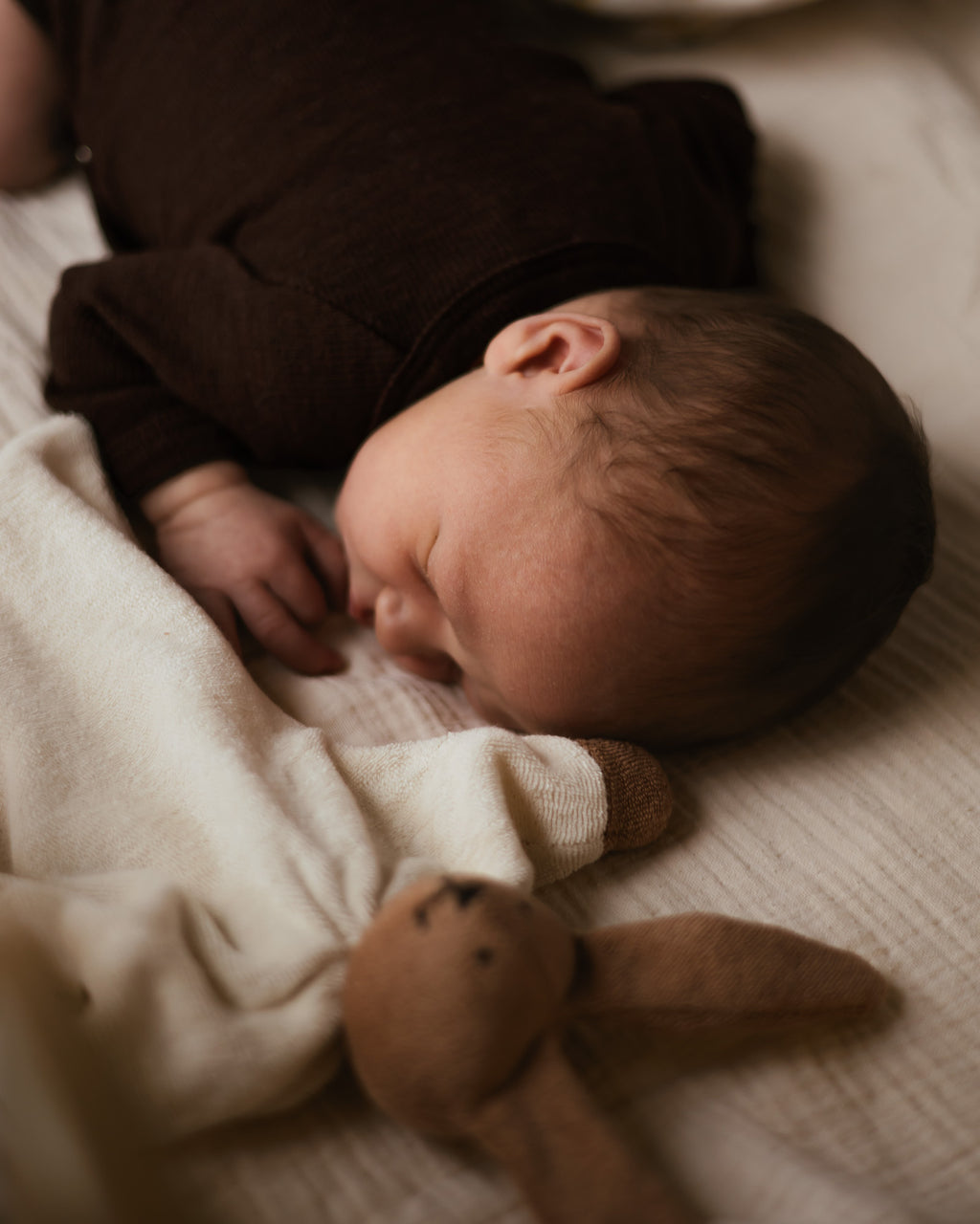 Alfie for Ziloen web-58